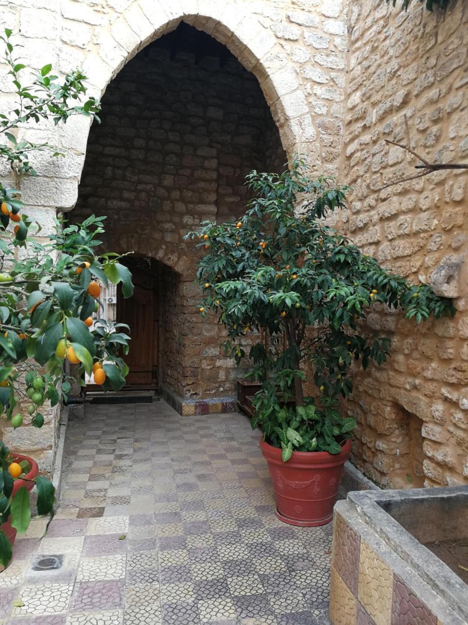 Bed and Breakfast Dar Camelia Tyros Exteriér fotografie
